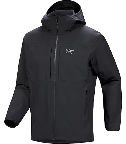 Amazon.co.jp: ARC'TERYX(アークテリクス) Beta SV Jacket Men's S